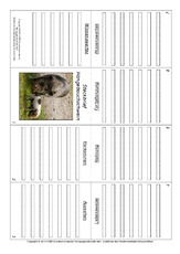 Faltbuch-Hängebauchschwein.pdf